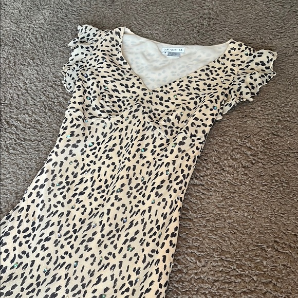 Leopard Print Dress - Picture 4 of 4
